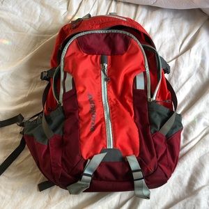 Patagonia backpack